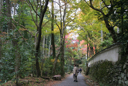紅葉の大原 来迎院へ・・・