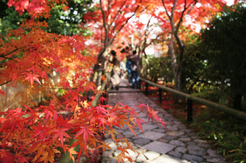 鷹ヶ峰 光悦寺