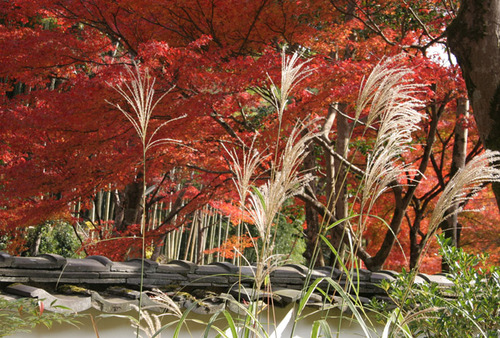 鷹ヶ峰 吟松寺