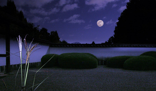 今夜は仲秋の名月