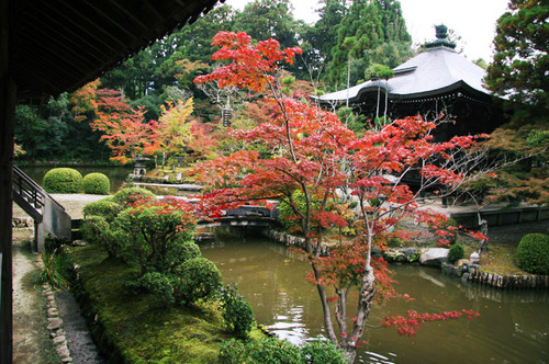 清凉寺(嵯峨釈迦堂)の秋