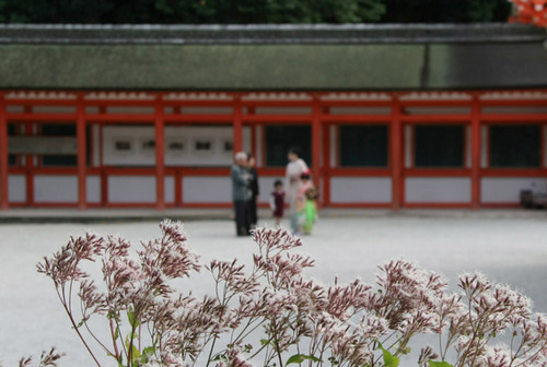 下鴨神社 秋だより