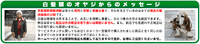 お世話になっております 2025/02/06 14:30:18