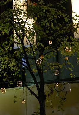 LED装飾照明 2010 冬