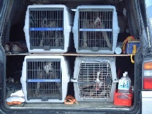 あと三月で狩猟シーズンです。