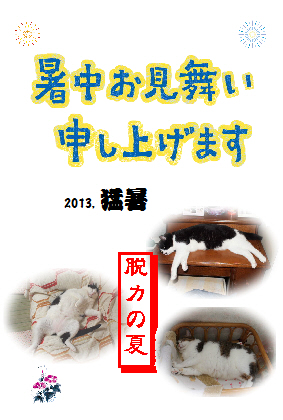本日の一枚 ~のらとホルスと田中さん~