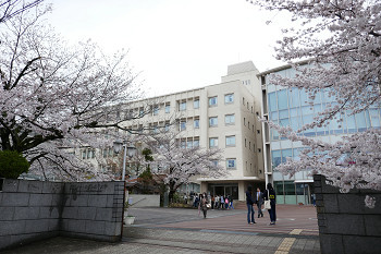 桜の知らせ　花のある大学４３