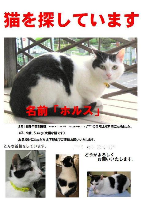 本日の一枚 ~ホルス~