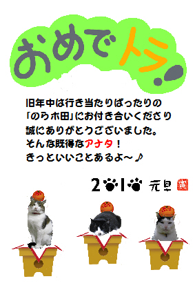 本日の一枚 ~のらとホルスと田中さん~