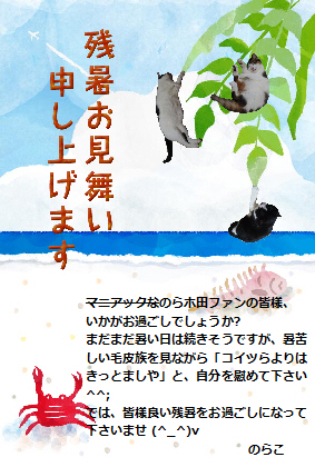 本日の一枚 ~のらとホルスと田中さん~