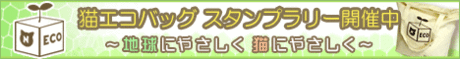 本日の一枚 ~田中さん~