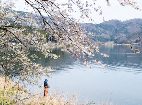 奥琵琶湖の風景（高島・海津大崎）