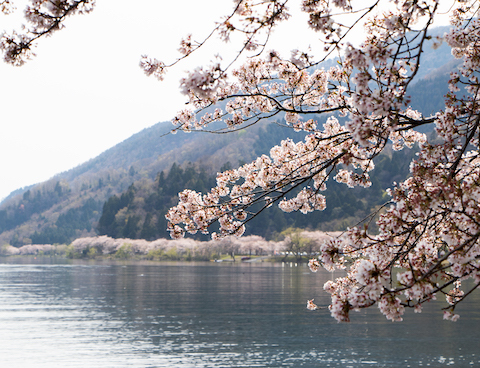奥琵琶湖の風景（高島・海津大崎）