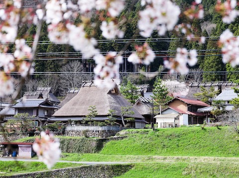 花いろいろ（南丹市美山町・かやぶきの里）