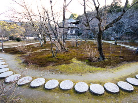 飛び石庭園と寒桜（山科・勧修寺）