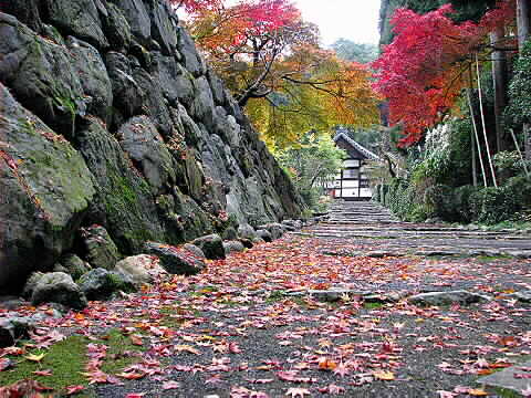 ゆっくり秋を満喫できる借景庭園～正伝寺～