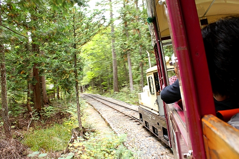 森林鉄道で行く　（赤沢森林鉄道）