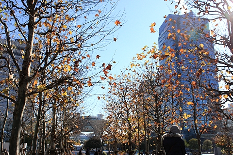 東京の秋を感じて　（東京ビッグサイト）