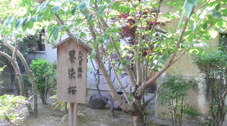 藤森神社アジサイ苑と知られざる深草の里めぐり