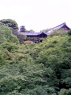東福寺の新緑へ