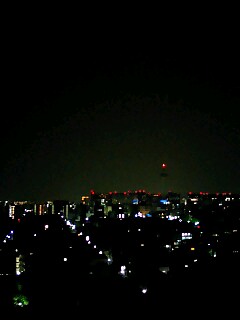 よばひ星が見えた!