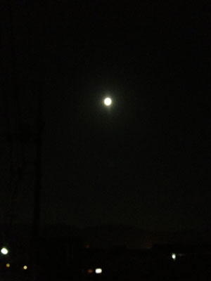 中秋の名月 in 山科