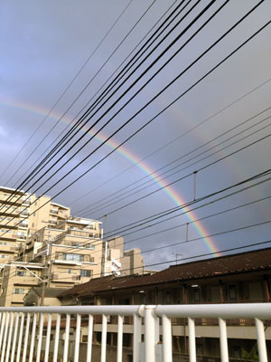 Rainbow