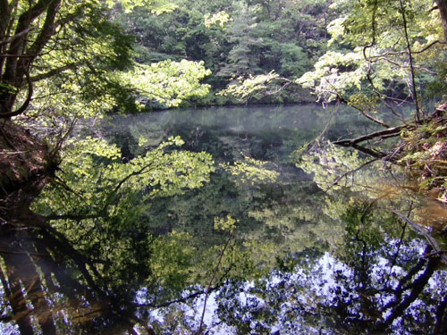 春の遠足