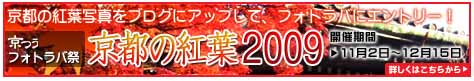 フォトラバ祭「京都の紅葉　’09年版　秋」