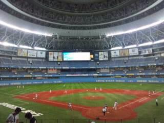 野球DAY