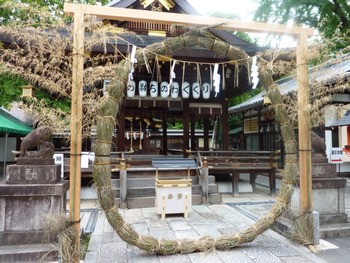 茅の輪くぐり   護王神社