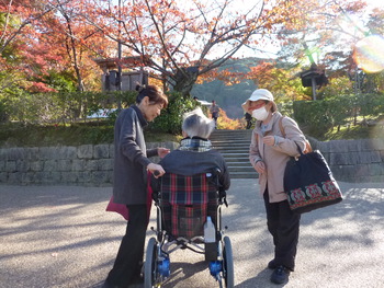 晩秋の京都、車いすで周遊！2014/11