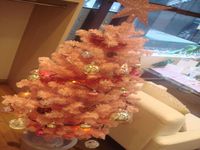 クリスマスモード☆ 2014/11/05 14:00:00