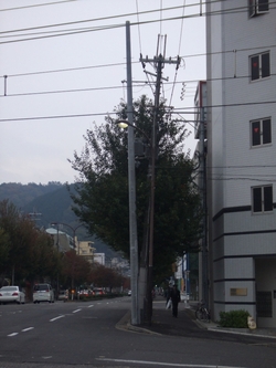 電柱つけかえ
