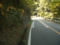 自民に鉄つい