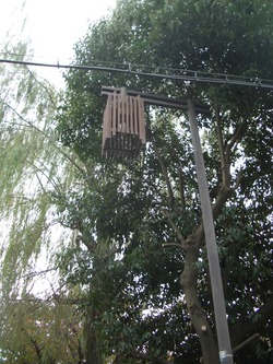 左京区総合防災訓練＆街路樹の剪定