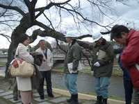 京都バス　バス停の改善を