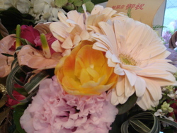 お花がたくさん☆