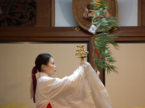 揺れる笹の葉に祈る　（京都戎神社）