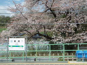 桃源郷の駅