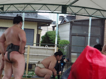 おすもうさん