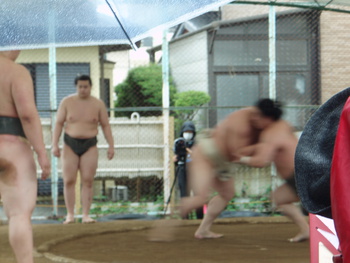 おすもうさん