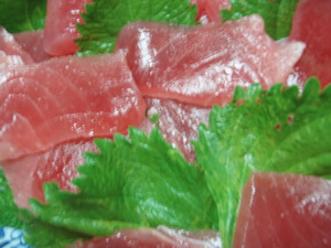 マグロ刺身シソ添え