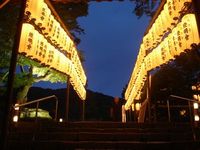 高台寺夏の夜間特別拝観