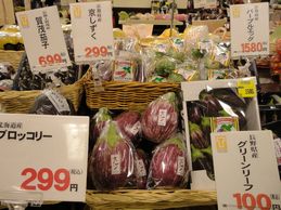 有限会社篠ファーム様「京の新野菜」販売開始！
