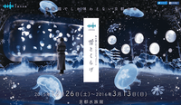 京都水族館「雪くらげ」にたわわちゃん