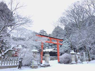雪の吉田神社へ