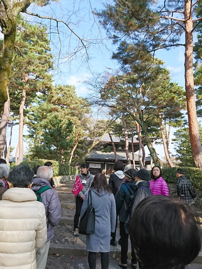 １２月４日　京都さんぽ　暮秋を彩る下鴨神社の名残の紅葉レポート