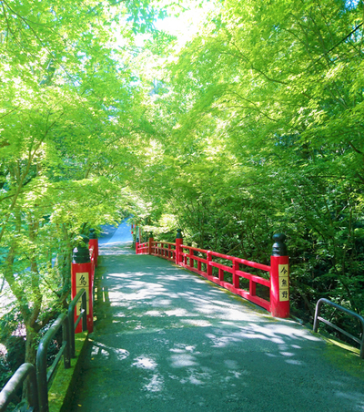 今熊野観音寺・鳥居橋