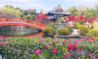 神泉苑 ～色鮮やかな冬の京都～